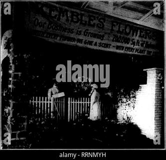 . Floristen Review [microform]. Blumenzucht. T?!?^|^^^ 5 l 5 l 8 5FT^," - "-"-Tr"? irfl^^"-r. 7.; r-) irT^; v" T^;,."?,? "Sepismbee 16, 1915. Die Horists 'Review 21 was Datum sollten Sie herangeführt werden, um zu voller Blüte für Christus zu haben-mas f Kann Boman hyazinthen Suc-cessfully in Wohnungen gewachsen und trans-Töpfe gepflanzt, wenn in der Blüte t können niederländische Hyazinthen so früh wie Weihnachten gezwungen werden, und sind Sie zu diesem Zeitpunkt rentabel? E.O.C.-Ala. Niederländische hyazinthen können nicht für Weihnachten erzwungen werden. Bringen Sie in das Haus, nachdem das Neue Jahr, das wird so früh wie möglich für Profit erzwungen werden. Alle Lampen Stockfoto