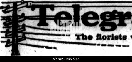 . Floristen Review [microform]. Blumenzucht. ',*.*.*'-Yi.,. Ich •}y^^v i^TT t" - JVhX 22, 1915. Die Floristen 39. ni" Floristen whos* oarda aypMur "^tli*p*c*" diese Perle, "r" prmifmrwA Ord" ii Der ttn oanrinc?* - "&lt; • - von otiiar Floristen für lokale dallvory auf tba üblichen Grundlage. Bitte beachten Sie, dass diese Bilder sind von der gescannten Seite Bilder, die digital für die Lesbarkeit verbessert haben mögen - Färbung und Aussehen dieser Abbildungen können nicht perfekt dem Original ähneln. extrahiert. Chicago: Floristen Pub. Co Stockfoto