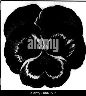 . Floristen Review [microform]. Blumenzucht. r^^", "ip-'^''': fv Si der Floristen Heview Jui-Y-lb, 1" 15. Riesige Nixed Pansy Handel Paket, 26 c; Oi • $ 1,60 Tr.pkt. Oz. ACONITUM Nap "Uus JO. 16 $ 0,40 ALT 8 SDM Saxatile 10 .30 AQUILKGIA, Lons-trieb 25 1,60 BKIXIS Maxima 2 ft 1,50 CALLIOPSI 8 Lanoeolata 10 .25 Nelke, Hardy gemischt 25 1.00 RITTERSPORN Belladonna 25 2,50 DIG1 TAU 8, 16 .40 HOIXTHOCK 8 entdeckt. 26 1,60 26 2,60 MTOSOTI IBKRIS Sempervlrens 8 Victoria benannt. 25 .7 PHLOX Deoussata 25 1.6 PTRETHRUM, Sinffle 26 1. (0 STOCKS, Winter - nowerins, Schöne 26 2,50 SWEBT ERBSEN-Lb. Ctiriatmas Weiß 11.50 Ch Stockfoto