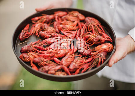 Koch hält Schale mit frischen Langusten, New Orleans, Louisiana, USA Stockfoto