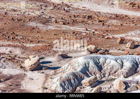 Petrified Forest National Park in AZ. Stockfoto