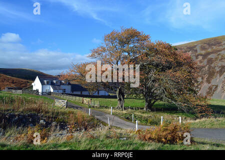 Bauernhaus, Hochschule Tal, Northumberland Stockfoto