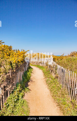 Weg durch die Sanddünen in der Nähe von Port Bara, Halbinsel Quiberon, Bretagne, Frankreich. Stockfoto