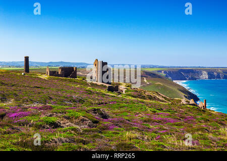 Die verlassenen Wheal Coates Zinnmine auf der kornischen Klippen unter Heather gesetzt, in der Nähe von St Agnes Head, North Cornwall, UK an einem schönen Sommertag, ein Stockfoto