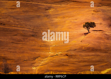 Die Bilder der Kirche Rock von Red Rock State Park Stockfoto