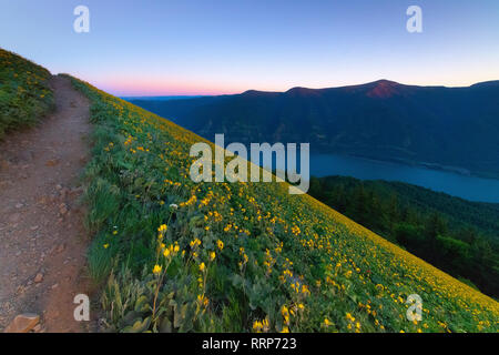 Bilder vom Hund Mountain Trail mit Blick auf den Columbia Gorge an der Grenze von Washington und Oregon Stockfoto