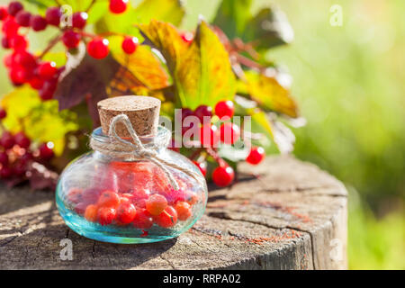 Flaschen Gefüllte Schneeball (viburnum) Beeren auf Baumstumpf im Freien, Kräutermedizin. Selektive konzentrieren. Stockfoto
