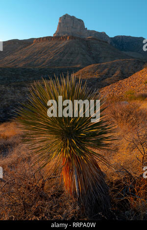 Bilder von Guadalupe Mountains National Park und Guadalupe Peak und Umgebung Stockfoto