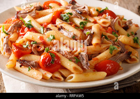 Würzig lecker Nudeln mit gegrillten zog Schweinefleisch, Käse, Tomatensauce und Kräuter close-up auf einem Teller auf den Tisch. Horizontale Stockfoto