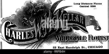 . Floristen Review [microform]. Blumenzucht. 28 Die Floristen^ Review JAMUABX 6, 1916. iiiiiiiiiiiiiiiiiiiiiiiiiiiiiiiiiiiiiiiiiiiiiiiiiiiiiiiiiiiiiiiiiiiiiiiiiiiiiiiiiiiiiiiiiiiiiiiiiniiiiiiiiiiiiiiiiiiiiiiiiiiiiiiiiii^^ Sie erhöhen Ihren Gewinn und Business, indem Sie Ihre Bestellungen für Schönheiten, Orchideen, Rosen, Nelken, Lilien, Tal, | Veilchen, Zuckererbsen, Narzissen, Stevia und alle anderen | saisonale Schnittblumen und Grüns zu I i Qualität i spricht ich lauter Ich als E PREISE J. A. BnOLONG 184 North Wabash Avenue, CHICAOO ROSEN, das Tal und die Nelken eBniurD -,- •&gt; c"^^. LonK Dista Stockfoto