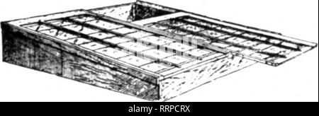 . Floristen Review [microform]. Blumenzucht. Diese Abbildung sliows der zweite Schritt in Con-^ t'uctine Die neuen Gewächshäuser in Prospect Park. Erectin? Der Überbau und Bügeleisen arbeiten nahm uns zwei Wochen. Eine ausreichende Anzahl von Männer wurden auf den Auftrag, die Arbeit zu einem frühen Com - Fertigstellung zu bringen. Alle arbeiteten in Gruppen - den Maurern, Bügeleisen Arbeiter und Zimmerleute. La ving der Stiftung, die Errichtung der Wände aud das Aufstellen der Überbau und Bügeleisen Arbeit dauerte vier Wochen. Das ist Geschwindigkeit. Das Leben eines Metropolitan Gewächshaus ist onger als bei jedem anderen. Wenn Sie Gebäude betrachten. u erlauben Stockfoto