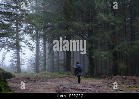 Eine woman​ über ein Telefon in einem Wald. Stockfoto
