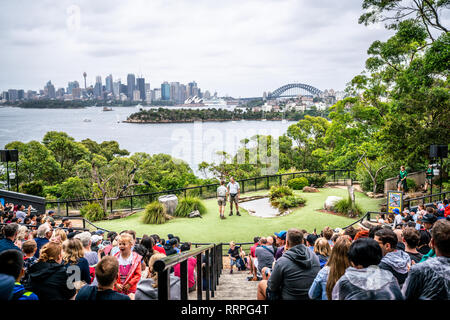 6. Januar 2019, Sydney NSW Australien: Vogel Show am Taronga Zoo und malerischen Blick auf Sydney CBD Skyline im Hintergrund in NSW Australien Stockfoto