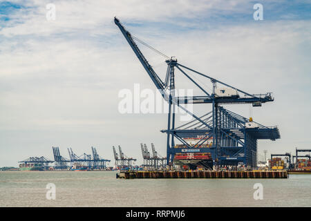 Ipswich, Suffolk, England, Großbritannien - 28 Mai, 2017: Der Hafen von Felixstowe mit einigen Kräne, Container und ein Containerschiff Stockfoto