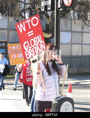 London, Großbritannien. 26 Feb, 2019. Pro- und Anti-Brexiteers weiterhin außerhalb des Parlaments zu protestieren. Credit: Brian Minkoff/Alamy leben Nachrichten Stockfoto