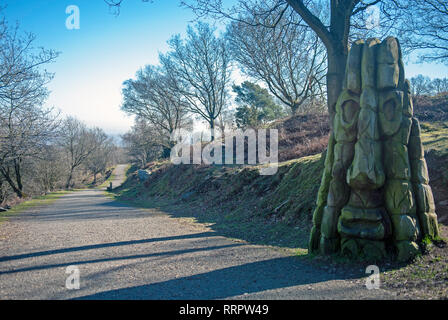 Beacon Hill Country Park in Leicestershire, UK. Stockfoto