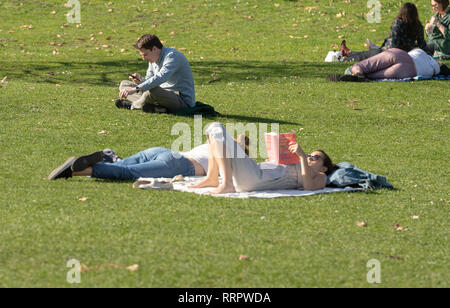 St. James Park, London, 26. Februar 2019 UK Wetter, unseasonable sonnigen Tag im Februar in St. James Park in London Quelle: Ian Davidson/Alamy leben Nachrichten Stockfoto