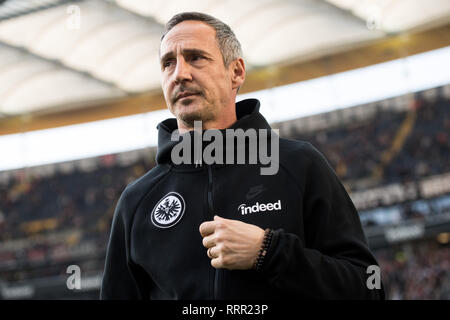 Frankfurt, Deutschland. 17 Feb, 2019. Adi HUETTER (Hvºtter, Trainer, F), halbe Länge, Fußball 1. 1. Fussballbundesliga, 22. Spieltag, Eintracht Frankfurt (F) - Borussia Mönchengladbach (MG) 1:1, am 17.02.2019 in Frankfurt/Deutschland. € | Nutzung der weltweiten Kredit: dpa/Alamy leben Nachrichten Stockfoto