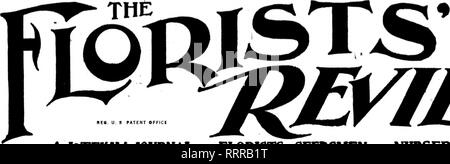 . Floristen Review [microform]. Blumenzucht. NC". Us PATENT OFFICI^ JM70v EINE WÖCHENTLICHE JOUBNAL"* FLORBTS. SEEDSMEN * "'* NUBSERYMEN. FliORISTS' PUBLISHING CO., 535 Caxton Balldine, 608 South Dearborn St., CHICAGO VOL. XXXV. CHICAGO, Januar?" 1915. Nr. 893. "Es ist ein langer Weg zur LONQp TIPPElARY "SHAMROCK SAMEN WAHRE IRISCHE^ AUS DER OULD SOD H tr. Tr. pkt Pkt $ 0,25 $ 0,40 Gramm 1,00^lb 3,00 Arthur T. Boddington, sf^' w's 'Mt. New York HONE VON WINTER - blühende Begonien nun in voller Blüte: Begonia Herrlichkeit von Cincinnati Beffonia Melior Cyclamen Gififanteum In bester Sorte, Wahl gut flowere Stockfoto