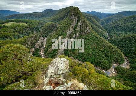 Ozeanien, Australien, Australien, Tasmanien, Leven Canyon Stockfoto