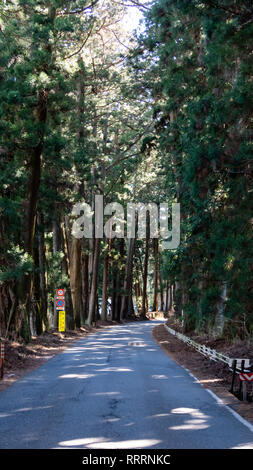 Suginami Cedar Avenue in Nikko. Den längsten Baum Avenue der Welt mit 35 km von 400-Jahre alten, 30 Meter hohen japanischen Zedern. Stockfoto