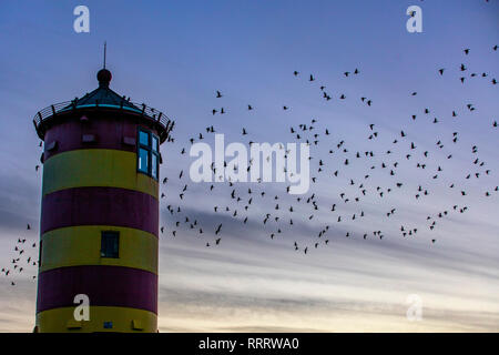 Der Pilsumer Leuchtturm auf dem Nordseedeich bei Pilsum, Gemeinde Krummhörn, Ostfriesland, Niedersachsen, Brandgänse fliegen am Abend, Stockfoto