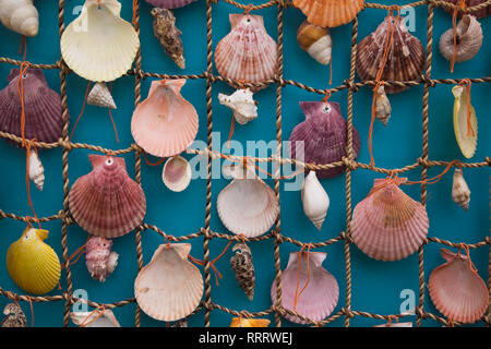 Verschiedene Muscheln auf einem Fischernetz angezeigt Stockfoto