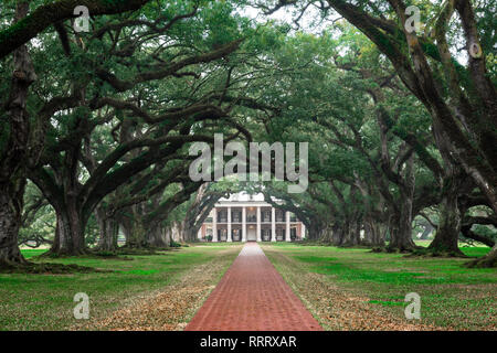 Oak Alley Plantation USA, Sicht auf die von Bäumen gesäumte Annäherung an das Grand House in Oak Alley Plantation (heute ein Museum), Louisiana, USA Stockfoto