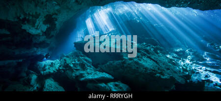 Sonnenlicht durch eine Öffnung in der El Jardin del Eden cenote mit einem Scuba Diver im Hintergrund. Stockfoto