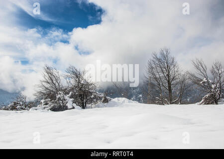 Winter Wald-, Berg- Landschaft im Winter, verschneite Bäume. Winter resort Smoljan, Bulgarien, Rhodopen Stockfoto