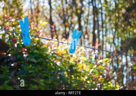 Zwei blaue Wäscheklammern an ein Metall string mit vielen Tau Tropfen gegen verschwommenen Hintergrund eines Gartens und hohen Bäumen auf einem sonnigen Frühling Morgen Stockfoto