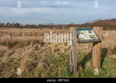 Wasser Wühlmäuse Lebensraum und Schild in Brownsburn Gemeinschaft & Natur Park südlich von Airdrie North Lanarkshire Schottland Großbritannien Stockfoto