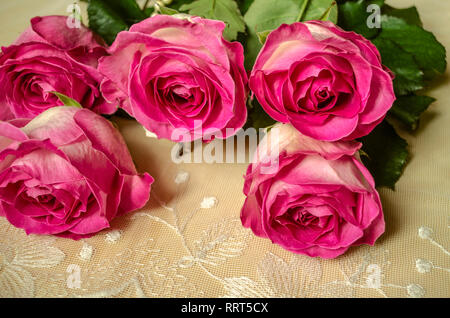 Große Köpfe von unentdeckten große, wunderschöne weisse Rosen mit Blüten am Rand der Rosa rand abgedeckt, liegt an der openwork Gewebe Stockfoto