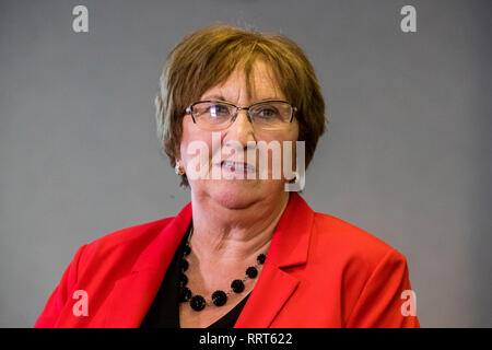 SDLP Policing Board Mitglied Dolores Kelly während einer Pressekonferenz auf der Northern Ireland Policing Board Hauptsitz in Belfast. Stockfoto