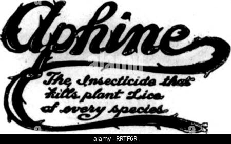 . Floristen Review [microform]. Blumenzucht. 142 Die Floristen^ Review August 21, 1913. SOBANTON, PA. Mehr privaten Gärtner. Ich habe vor kurzem einen Besuch in der Heimat von L.A., Präsident der First National Bank von Scranton, wer war der Erste in unserer Stadt Vorteil der schönen Abington Hügel zu nehmen. Seine Gärtner, Herr Keeves, obwohl er noch nicht die Erfahrung von vielen der alten Linie Gärtner hatte, hat eine Vorliebe und Erfahrung, die ziemlich überraschend ist, und die Anlage so aussehen, als ob sie der "Care hatte von einem mit langjähriger Erfahrung. Die wickelantriebe, Golf und Tennis Stockfoto