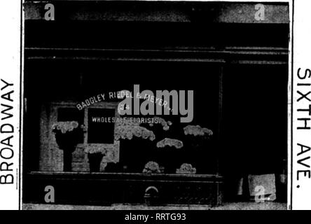 . Floristen Review [microform]. Blumenzucht. ^JL BADGLEY RIEDEL & Amp; MEYER 34 WEST ZS^-ST., NEW YORK. c0 95 0a0-n°Ich Z&AMP;T "ST. A-L-V-Vo^/: ^1 f r^d SJ 9 (IL3-e-^ erwähnen Thp Rprlew wenn yon irrU" "North Trumbull Avenue, wird bald un-dergo Umbau. Eine neue, attraktive Front wird gebaut werden und der Innenraum wird renoviert werden. J.J.Mohrle vor kurzem gekauft die Store in 2052 West Chicago Avenue von H. E. Scheffler. Herr Mohrle war früher mit C. Frauenfel - • '^'? verbunden -^ Besucher. Einer der Besucher der letzten Woche zum Überprüfen und zu viele der lokalen wachsen - ers war William E. Stockfoto