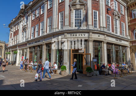 Die Ivy St. Helen's Square in der Stadt York, North Yorkshire, UK. Stockfoto