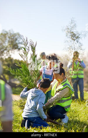 Familie freiwillige Pflanzen Baum im sonnigen Park Stockfoto