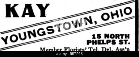. Floristen Review [microform]. Blumenzucht. "UDE BROSXO riARisTs 1214 r ST. NVC W^aHINSTOKOC WASHINGTON. D. C GUDE Mitglied wenn lorlsts "Telegraph DeUvaify PLORAL DESIGNS^'iFi^^ OHia WOson^ sS^ Stm Oarefolly COLDNBUS Telegraph Aufträge ausgeführt. 01 tlMn 'B' 63^, B" U Main 2903 266 SO. 01^St" Die Livingston Seed Co. FLORISTEN COVBR ALLE OHIO PUNKTE mN. Hohe Str., Columbus, Ohio. KAY 18 NORTH PHELPS ST. Die Floristen Tel. Del Aw'n Steubenville, i^l^:^ G. L. HUSCROFT V/tllO BLUMENGESCHÄFT 11 S-120 North Fovrth Straße Alle Bestellungen umgehend ausgeführt, DAYTON, OHIO 16 Aad 18 W. 3 St. Matthews das Blumengeschäft etabliert Stockfoto