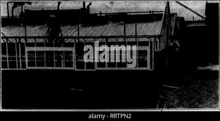 . Floristen Review [microform]. Blumenzucht. August 28, 1913. Die Floristen Review 19. Gewächshaus und Kraftwerk von Heiol&amp; Weber, Terre Haute. Pinsel, ein Stück Baumwolle - Wolle auf einen Stock gebunden, oder eines Kaninchens Schwanz, und sie schwängern früh am Nachmittag jeden Tag. Wenn Sie dies tun, sind Sie sicher, dass der eine schwere und wird zu dünn haben ihre Früchte stark. Es wird sicher nicht Ihre Pflanzen im Freien über den Winter zu verlassen. Egal wie gut Mulched, würden sie auch die Wurzel feucht und würde großen Schaden erleiden. Speichern Sie sie in einem Schuppen oder Keller, die nicht zu dunkel. Egal ob Th Stockfoto