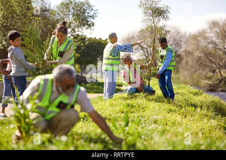 Freiwillige Anpflanzung von Bäumen im sonnigen Park Stockfoto