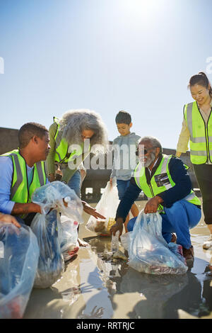 Freiwillige Reinigung Wurf am sonnigen Strand Stockfoto