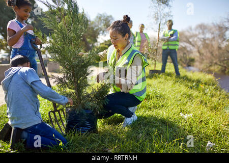 Frau und Kinder freiwillige Pflanzen Baum an sonnige Campingplatz Stockfoto