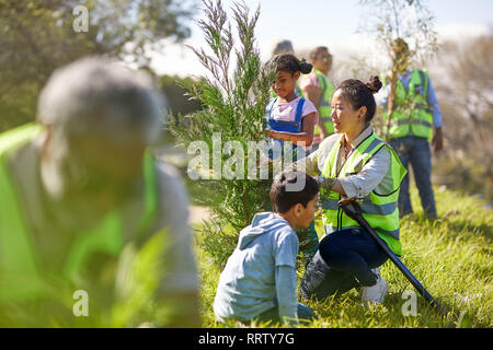 Frau und Kinder freiwillige Pflanzen Baum im sonnigen Park Stockfoto