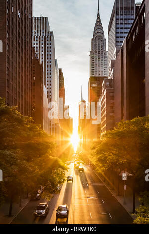 Sonnenuntergang Licht auf die Gebäude und Autos in der 42. Straße in Midtown New York City um die Zeit der Sommersonnenwende Manhattanhenge Stockfoto