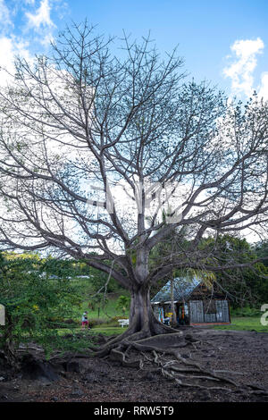 Trois Rivieres Rum Distillery in Martinique, Niederländische Antillen. Stockfoto