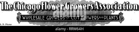 . Floristen Review [microform]. Blumenzucht. Die Floristen^ Review November 12, 1914. L. D. Telefon Randolph 5449^:; T^T'' 7 (y^. nc^^ Qs Ave CNic ^^o Mamas! Mamas! Mamas! BfAUTIES KILLARNEY MILADY ALLE SORTEN-l^ HITC KILLARNEY IRISCHEN FIRCFLAME FRAU. AARON WARD KILLARNEY KÖNIGIN FRAU. RUSSELL SUNBURST Diese Rosen von Männern, die '* gewachsenen Know how", der die Geschichte erzählt. Es gibt nichts Besseres um jeden Preis. Senden Sie uns Ihre Bestellung und urteilen Sie selbst. Lust auf Nelken und Lilien Die besten Sorten und alle Farben. Die Art, die das Verkaufen. Veilchen CATTLEYAS POMPONS PAPIER WEISS Neue Ernte Buchsbaum jetzt bereit. Stockfoto