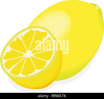 Zitrone isoliert auf einem weißen Hintergrund Vector Illustration Stock Vektor