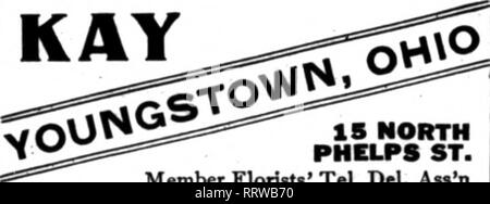 . Floristen Review [microform]. Blumenzucht. "UDE BIIOS.CO.fLORisra i2i4r' an. Nw VHUHINQTON. DC Washington, D.C GUDE Mitglied Floristen "Telegraph DeliTery COLDNBUSir:.^. Florale DESIGNS £^^ | | lO Telegraph Bestellungen OarefoUy ausgeführt. r''soitlcen saB, BeU Main 2903 ZdO SO. Ul^ St*' Die livingston Saatgut COe FLORISTEN DECKEN ALLE OHIO PUNKTE 114 H. Hohe Str., Columbus. KAY. Die Floristen Tel. Del als "'n Steubenville, Ohio G. L. HUSCROFT FLORIST 118-120 Nördlich vierten Stroot Alle Bestellungen umgehend ausgeführt, DAYTON, OHIO 16 und 18 W. 3 rI St. Matthews das Blumengeschäft EsUbllshed 1883 Nuneries Greenhonses und in Stockfoto
