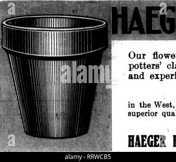 . Floristen Review [microform]. Blumenzucht. Mabch 12, 1914. Die Floristen' Bewertung 119. Bitte beachten Sie, dass diese Bilder sind von der gescannten Seite Bilder, die digital für die Lesbarkeit verbessert haben mögen - Färbung und Aussehen dieser Abbildungen können nicht perfekt dem Original ähneln. extrahiert. Chicago: Floristen Pub. Co Stockfoto